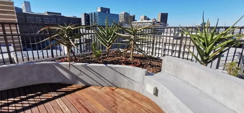 Commercial Street — Rooftop Garden — photo 11